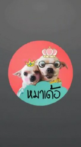 ซื้อ​ ขาย​ แจก​ฟรี​ หมา​ แมว OpenChat