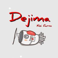 Dejima koi fram