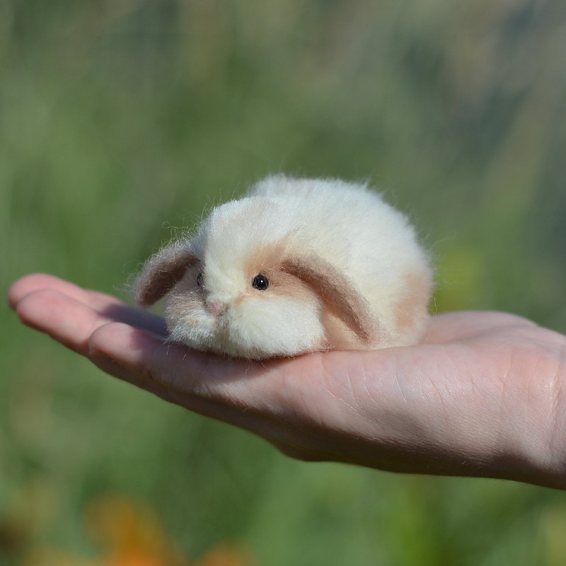 毛氈兔。兔子圖。迷你羅普。兔子雕塑。兔毛氈玩具