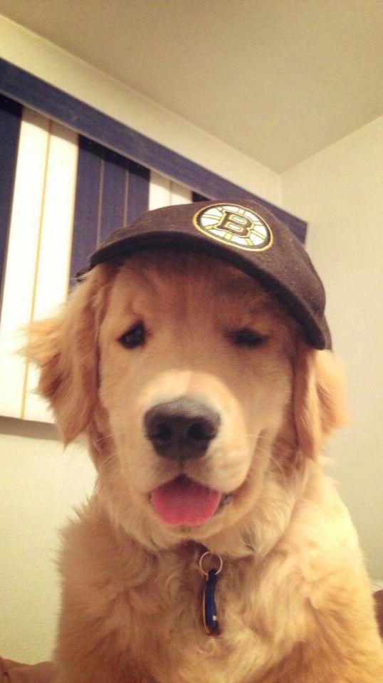 Netflix สตก. By Jorgor