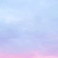 醉之夢幻島