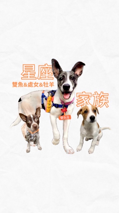 星座家族，雙魚座🧡聊天群