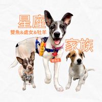 星座家族，雙魚座🧡聊天群