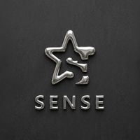 SEvip 寵粉群組