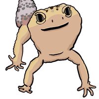 守宮討論區