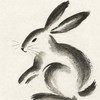 兎修行【ダイナマイト野球】