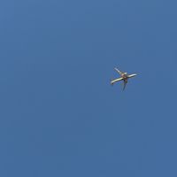 なんでも雑談部