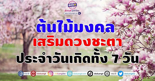 ต้นไม้มงคล เสริมดวงชะตา 2566 ประจำวันเกิดทั้ง 7 วัน ปลูกเสริมโชค  นำพาแต่สิ่งที่ดีมาให้ | ดวง D | Line Today