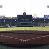 日米野球なりきり機関～NPBプロ野球12球団なりきりオープンチャット