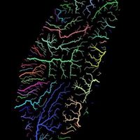 語安。英文素養資優班
