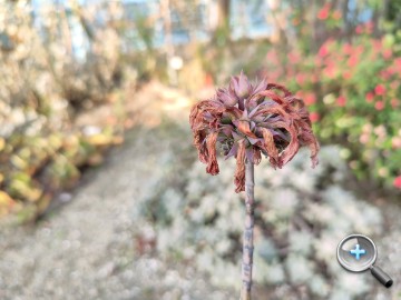 IMG20200314165031.jpg IMG20200314165031.jpg