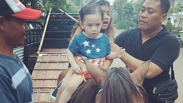 Dapat Hadiah Mewah, Ternyata Segini Perkiraan Harga Kuda Poni Rafathar