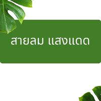 สายลม แสงแดด