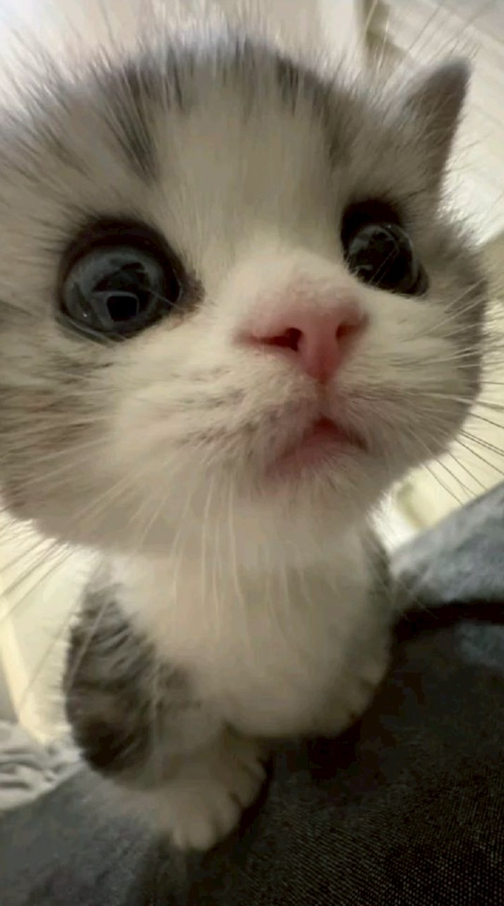 ゲーム雑談‼️