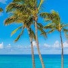🌈まなびハワイ🌴 Now and Then