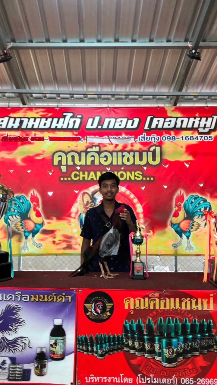 กลุ่ม ซุ้ม.ถุงเงิน🐓❤️(ลงคลิปไก่ ซื้อไก่ ขายไก่)