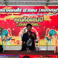 กลุ่ม ซุ้ม.ถุงเงิน🐓❤️(ลงคลิปไก่ ซื้อไก่ ขายไก่)