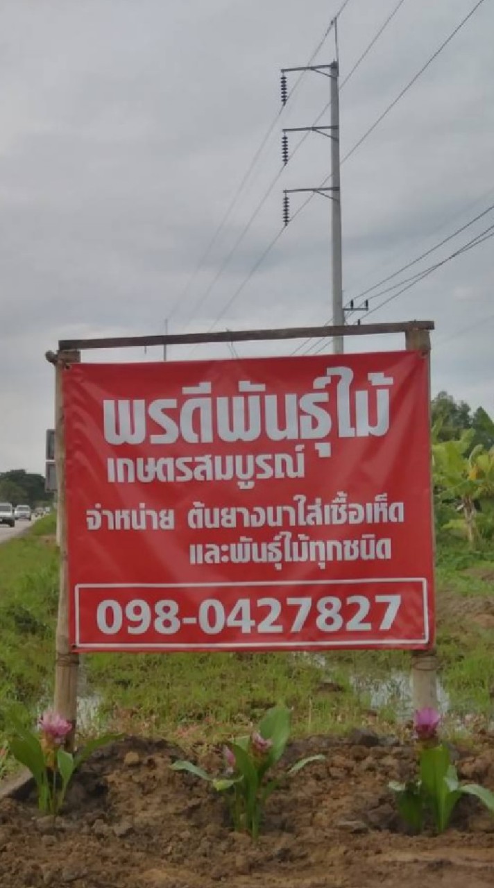 พรดี พันธุ์ไม้เกษตรสมบูรณ์
