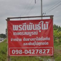 พรดี พันธุ์ไม้เกษตรสมบูรณ์