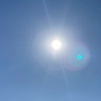 世田谷区立小学校PTA連合協議会