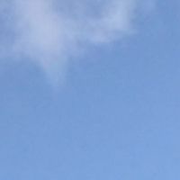 雑談、ゲーム、歌色々しよ！