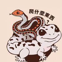 爬什麼東西-粉絲福利群組