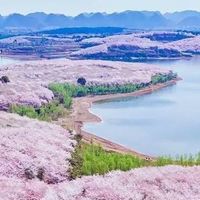 【28】知識の泉研究会