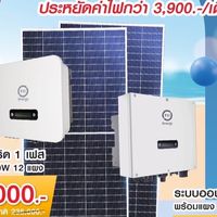 Soral cell  cm