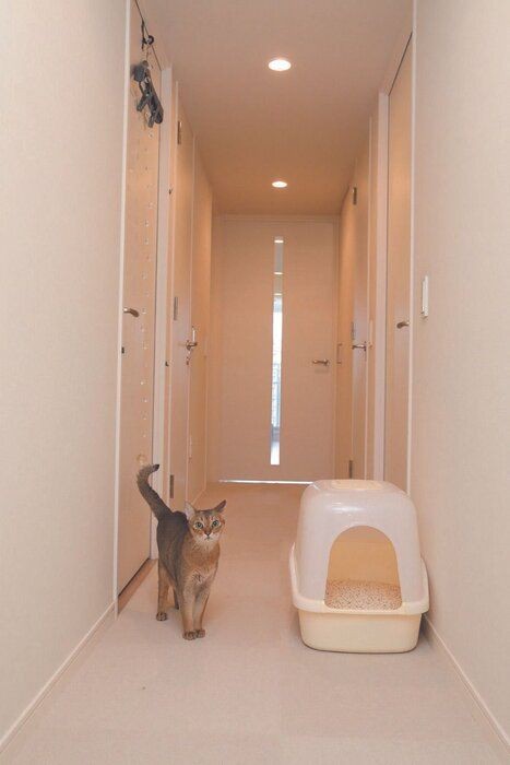 寒い季節の 猫トイレ の正しい置き方