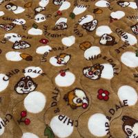 奇奇蒂蒂 Chip & Dale 奇蒂商品情報