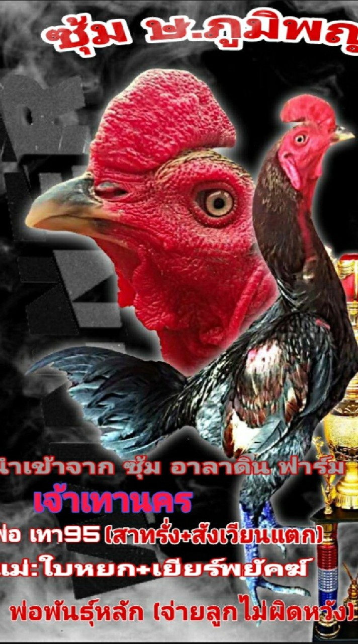 ซุ้ม ษ.ภูมิพญา