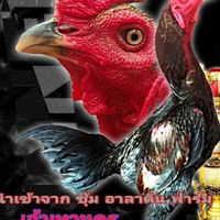 ซุ้ม ษ.ภูมิพญา