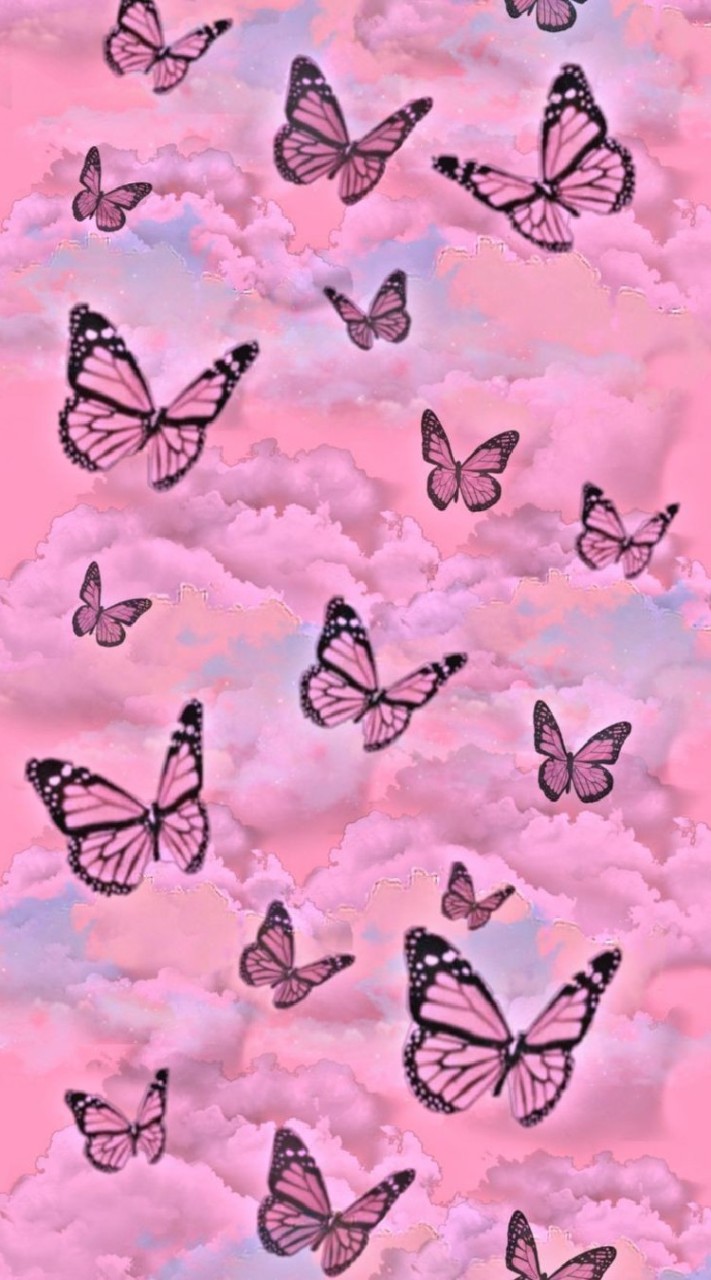 ╺ 𓂂 ִ ۫  ˑ 💒 โรงเรียน pink Zepetoᱸ 💐𐬹 𓏮
