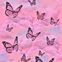 ╺ 𓂂 ִ ۫  ˑ 💒 โรงเรียน pink Zepetoᱸ 💐𐬹 𓏮