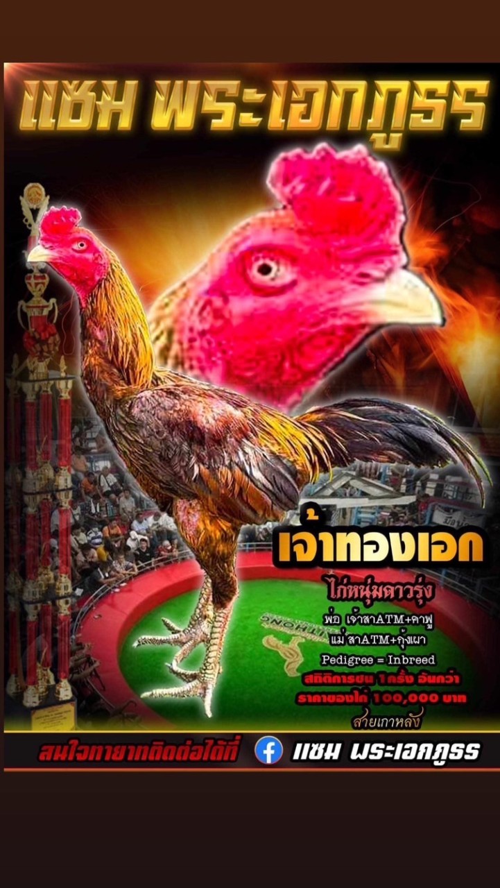 พระเอกภูธร