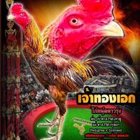 พระเอกภูธร