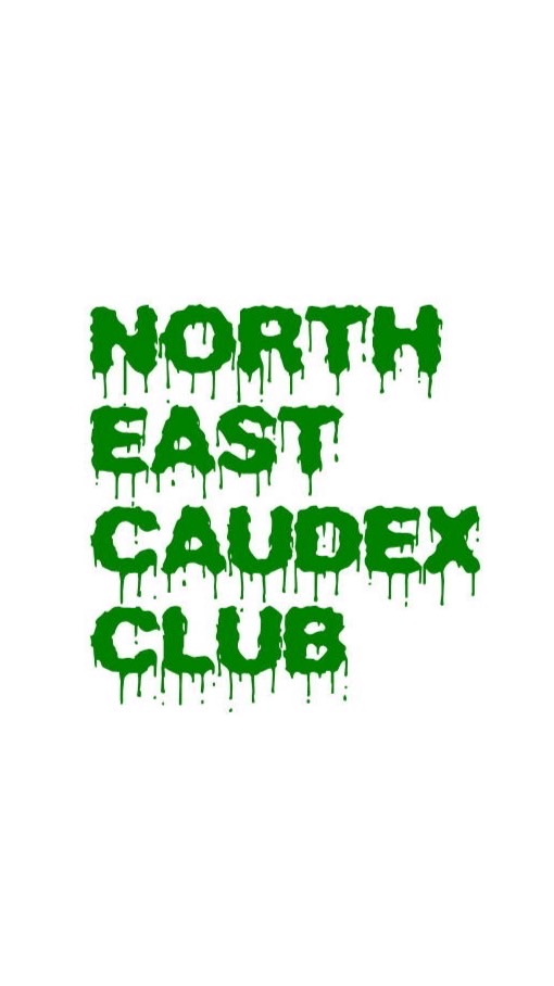 東北塊根倶楽部　NORTH EAST CAUDEX CLUB