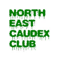 東北塊根倶楽部　NORTH EAST CAUDEX CLUB