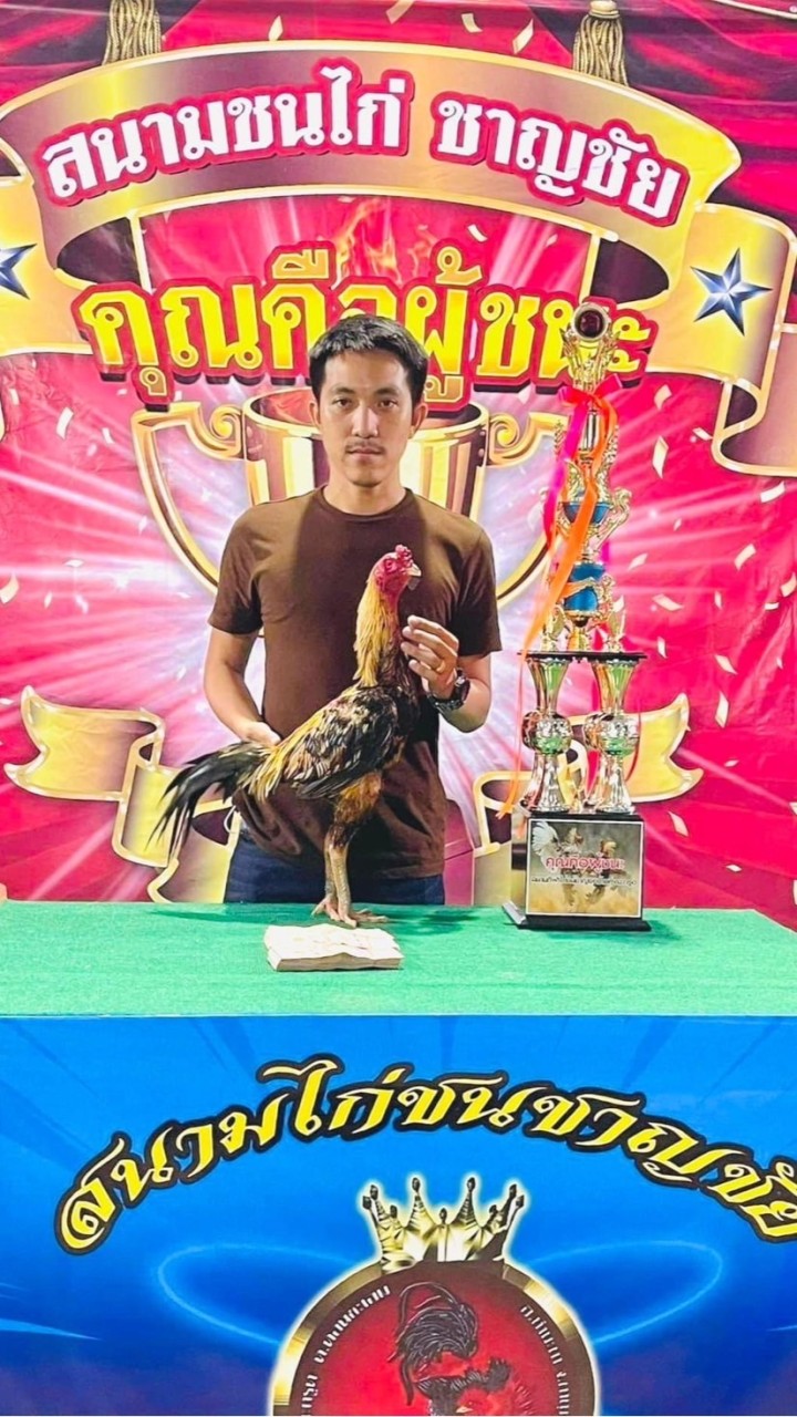 เพชรไผ่ล้อมฟาร์ม