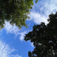 一個鬧鐘就起床！🌟