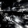君が眩しいから僕は星が見えない