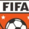 FIFA足球幣