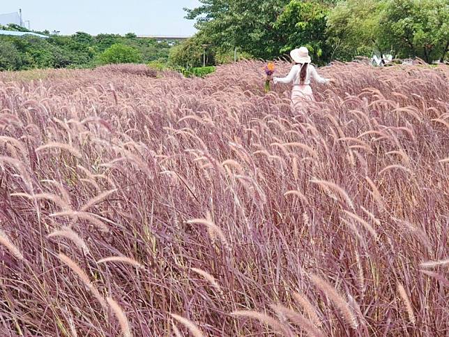 ▲圖片來源：IG@yijiun_lee