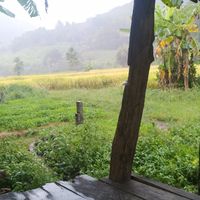แจ้งเสียน้ำประปา/ไฟฟ้าตำบลอวน