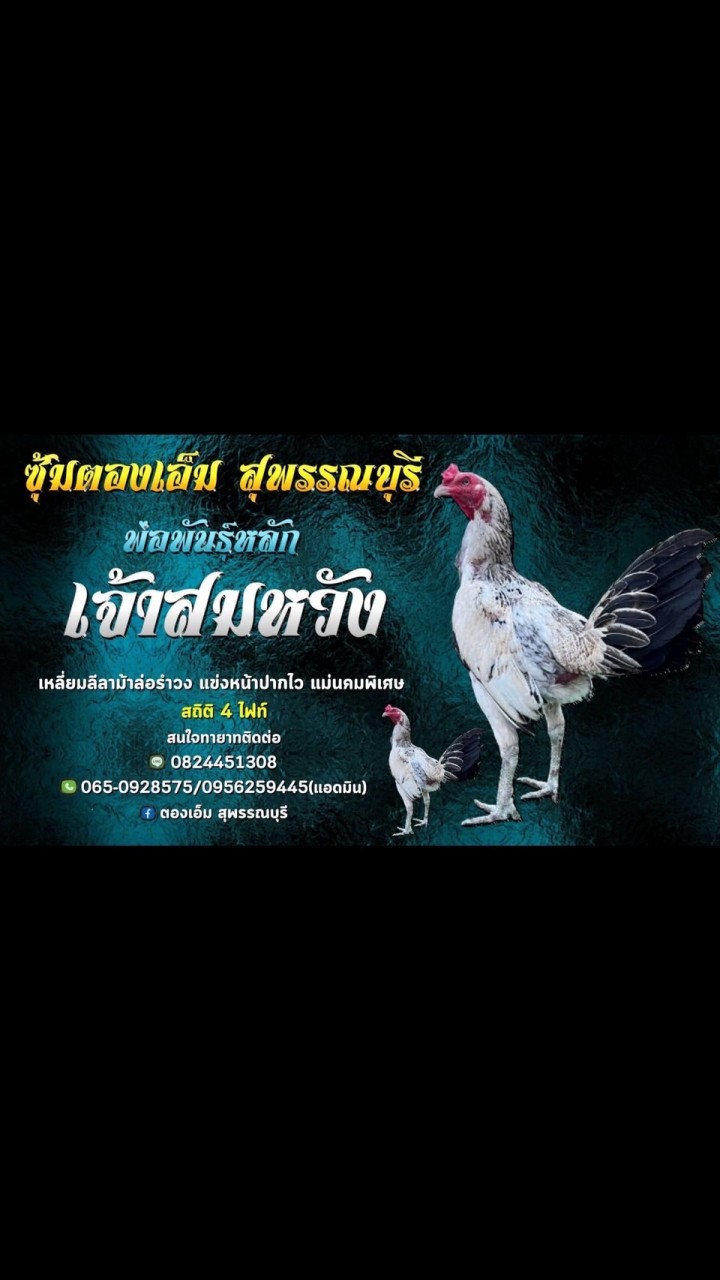 ซุ้ม ตองเอ็ม สุพรรณบุรี
