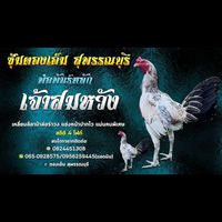 ซุ้ม ตองเอ็ม สุพรรณบุรี
