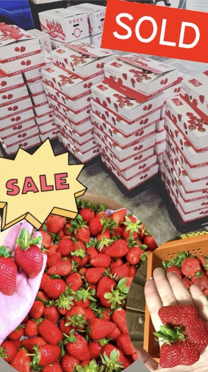 🍓專給善化、Lm媽媽們的福利水果群🍅