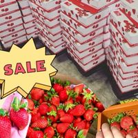 🍓專給善化、Lm媽媽們的福利水果群🍅