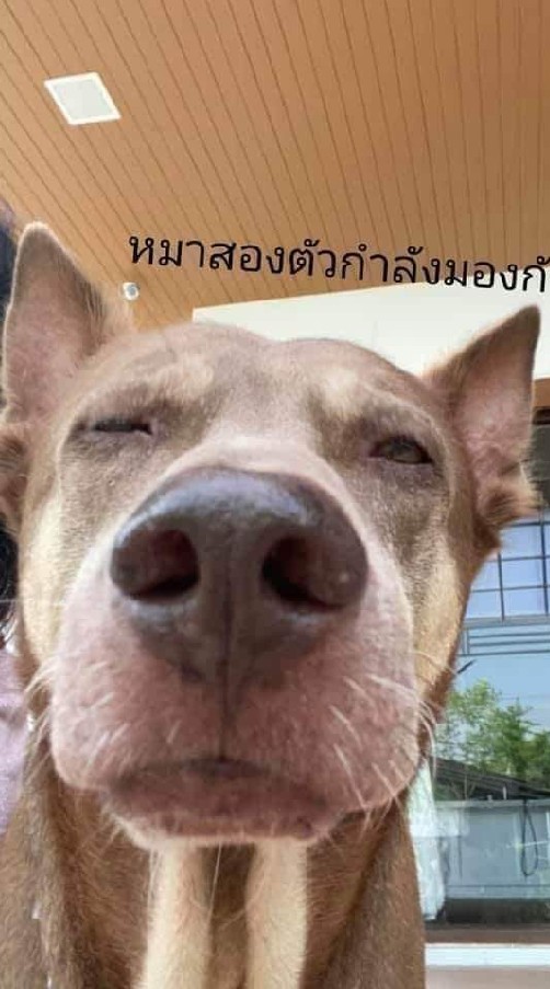 อะไรไม่รู้สวยดี