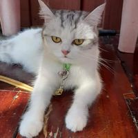 กลุ่มเล่นเกม FF/ฟีฟาย